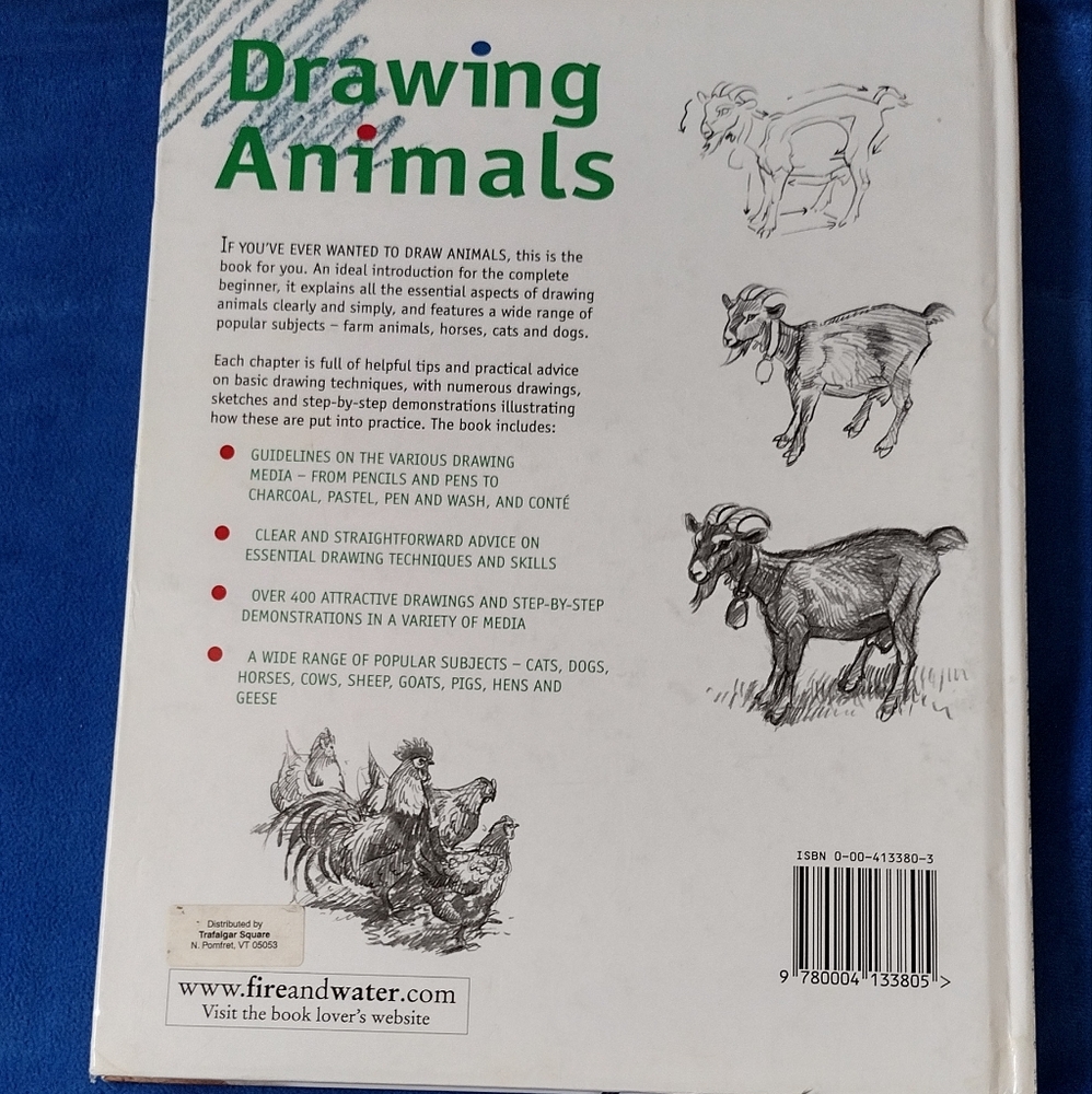 Drawing Animals - Picture 2 of 6